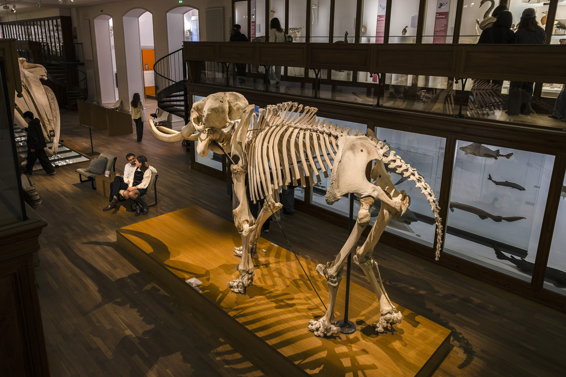 Engagement session à Nantes dans un musée avant fermeture